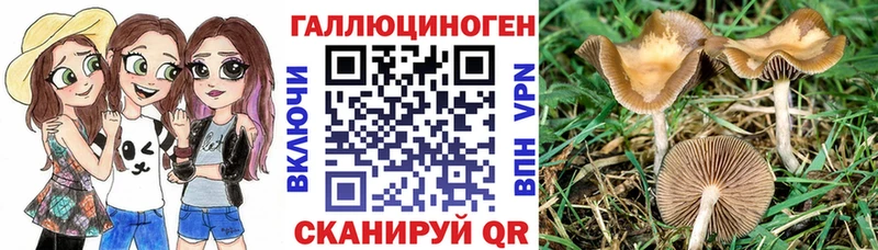 цены   блэк спрут вход  Псилоцибиновые грибы мухоморы  Кстово 